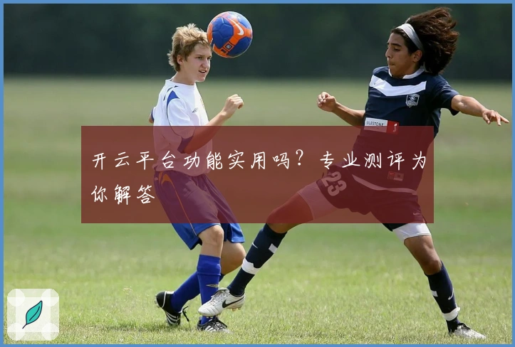开云平台功能实用吗？专业测评为你解答
