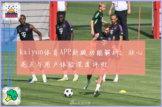 kaiyun体育APP新版功能解析：核心亮点与用户体验深度评测
